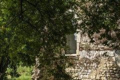 DSCF9505